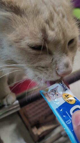 Pack Churu 24 Tubos - Snack Para Gatos photo review